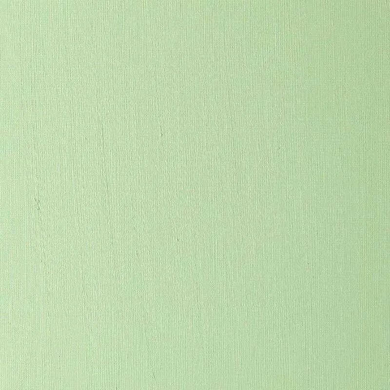 Winsor & Newton Winton Yağlı Boya 200ml - Permanent Green Light - 483 - Thumbnail
